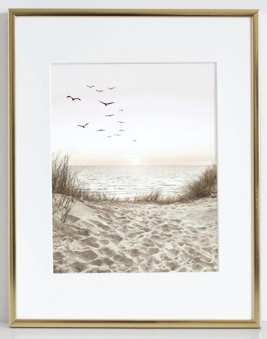 Shorebird Print on Demand Beach Prints Digital Download