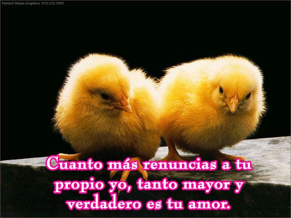 de amor y amistad. Prisiones De Amor-Por amistad.