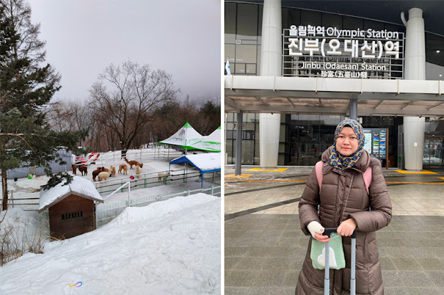 Pengalaman Mendapatkan Rawatan Kesihatan di Busan, Korea