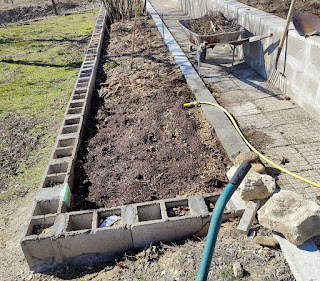 The final section of this bed is dug through