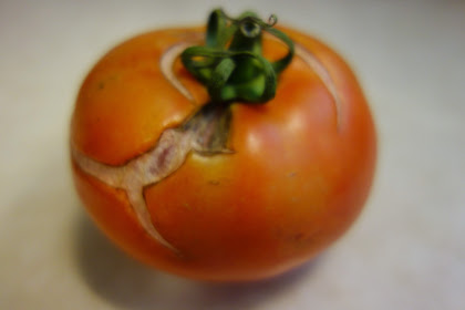 Tip from Mom Tuesday #28 - Cracked Tomatoes