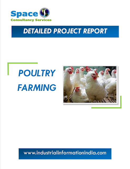 Poultry Farming Project Report