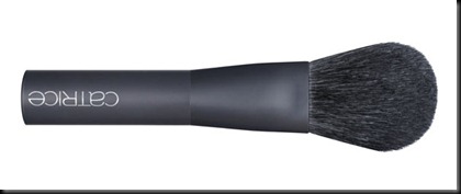 Catr_BlushBrush_03