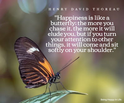 Happiness is like a butterfly; the more you chase it, the more it will elude you, but if you turn your attention to other things, it will come and sit softly on your shoulder. Henry David Thoreau quote on the best way to find happiness in life