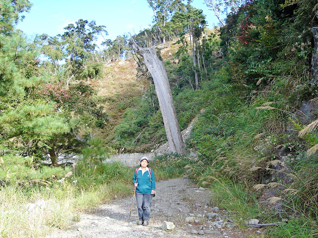 210林道