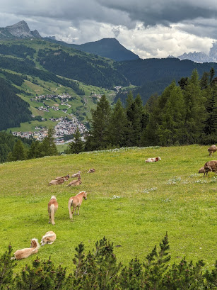 One of our last hike views down to Corvara.