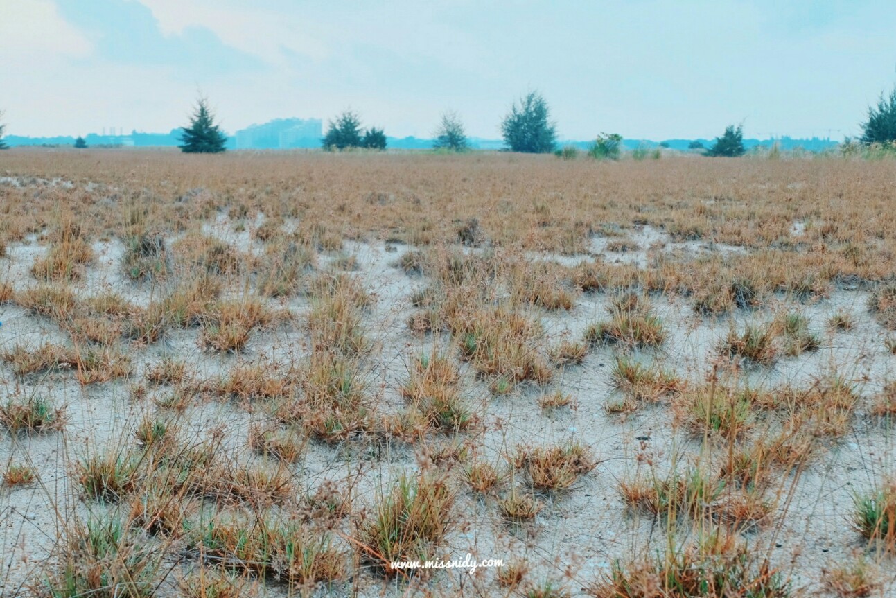 padang pasir pantai klebang melaka