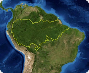 Amazon_mapa