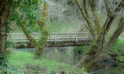 The banks of the Nehalem River area where the ghost of a horse thief and his dog are said to haunt near Veronia, Oregon