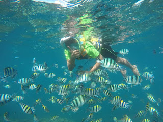 http://www.lomboksociety.web.id/2023/07/3-sewa-boat-di-gili-nanggu-sekotong.html