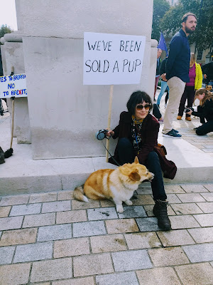 Mishka the corgi sat next to her owner in front of a monument in London. Her owner is very stylish and is holding a sign that says "We've been sold a pup".