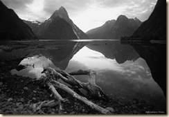 milford_sound_perfect2