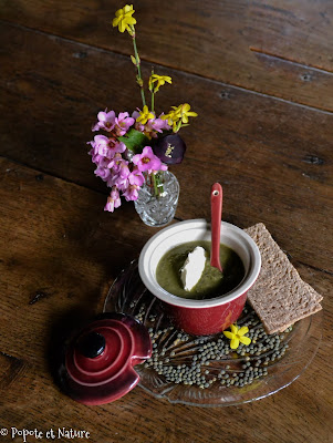 Soupe de fanes de radis aux lentilles ©Popote et Nature