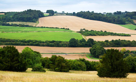 http://www.theguardian.com/uk-news/davehillblog/2014/may/13/london-housing-crisis-building-greenbelt