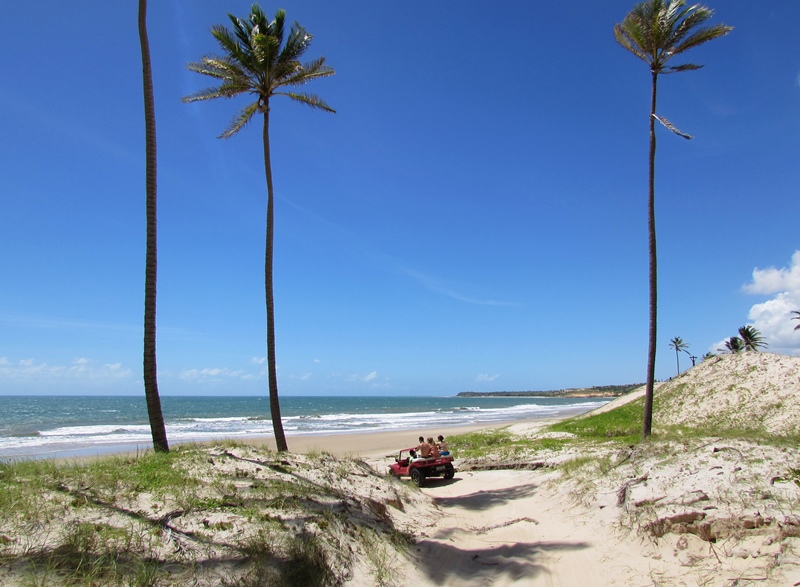Como chegar a Praia de Lagoinha: ônibus, transfer, passeios, informações e valores