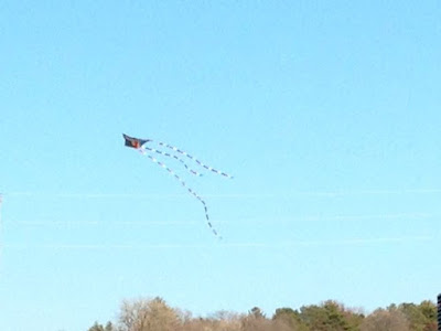 a kite over the St. Croix (Wisconsin trees in background)