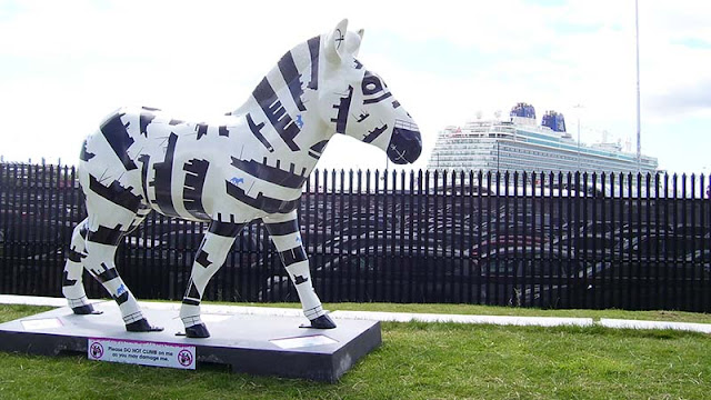 ABP zany zebra with cruise ship