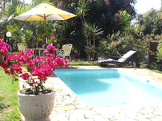 Vendo , Troco ou alugo Casa / Chácara - Brasil -foto piscina