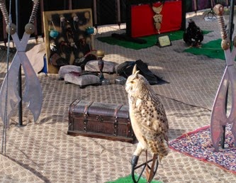 IMG_20150403_172523