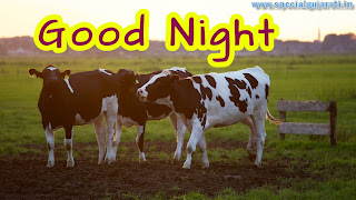 Good Night images hd Download
