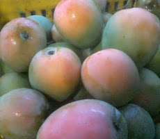 Mangga Gedong Gincu Indramayu <p>Rp20.000</p>