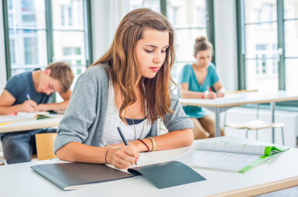 Essay Writing Services