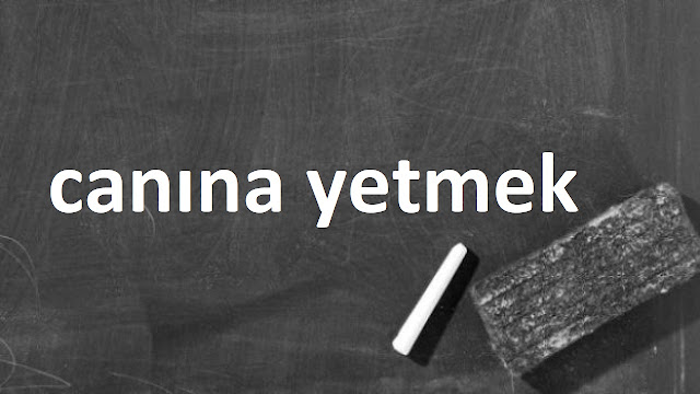 canına yetmek