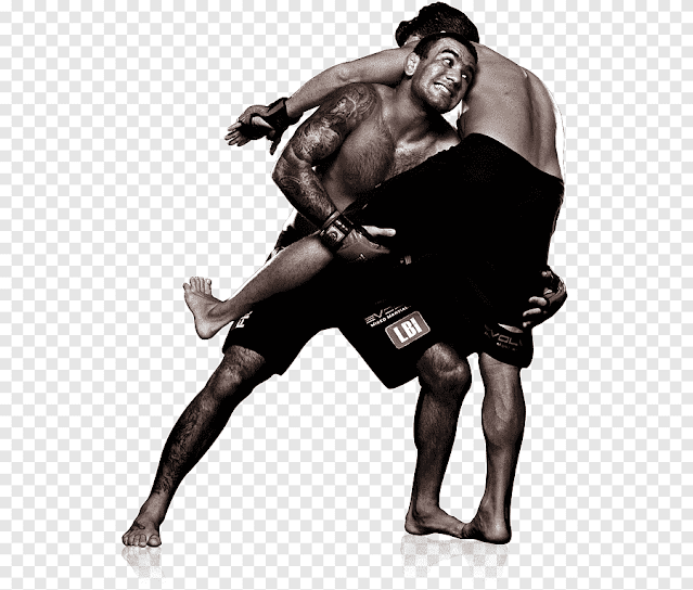 As Artes Marciais Mistas, conhecidas pela sigla em inglês MMA (mixed martial arts), são uma modalidade de esporte de combate que inclui tanto golpes de combate em pé quanto técnicas de luta no chão. Combinando diferentes disciplinas de combate e seus aspectos técnicos sob uma única regra de competição.