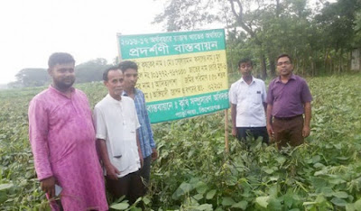 পাকুন্দিয়ায় মুগ ডালের মাঠ দিবস ও চারা বিতরণ