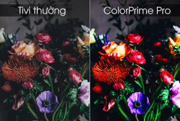 Công nghệ tăng cường dải màu ColorPrime