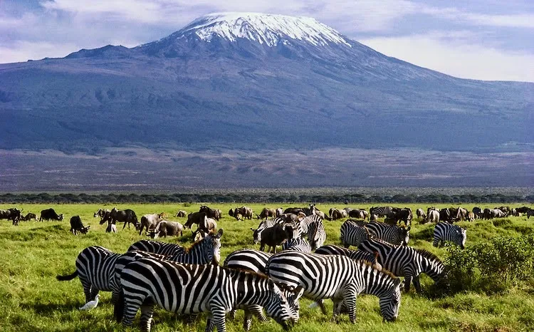 Amboseli National Park 2