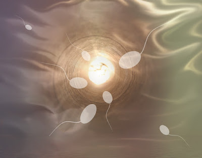 7 Fakta Mengejutkan Tentang Sperma