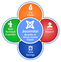 Hire Joomla Developer to India