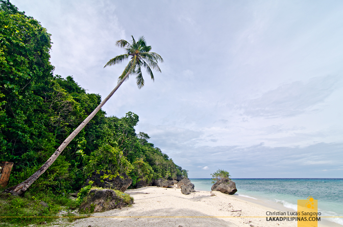 Kagusuan Beach Siquijor Beach