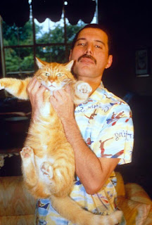 18 fotos de Freddie Mercury y sus gatos, a los que amaba y trataba como a sus propios hijos