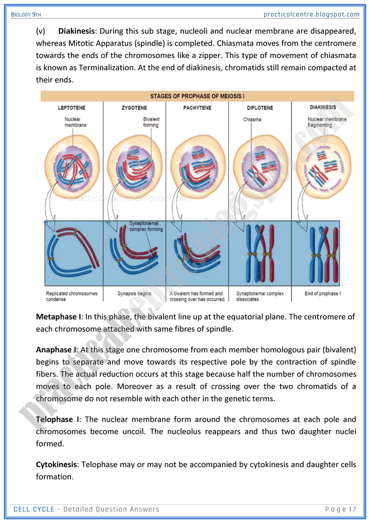 cell-cycle-detailed-question-answers-biology-9th-notes