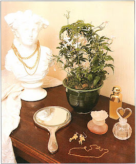 Сидя за туалетным столиком, насладитесь тонким ароматом Жасмина многоцветкового (Jasminum polyanthum)