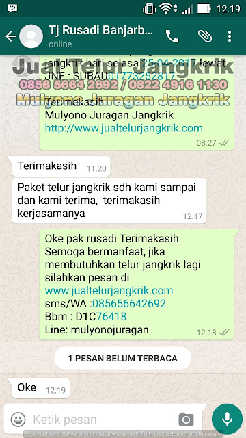 budidaya jangkrik, cara beternak jangkrik, cara budidaya jangkrik, cara ternak jangkrik, jual telur jangkrik, ternak jangkrik