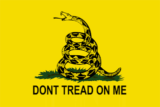 Don't tread on me flag