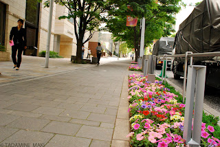 Flowers on the street, at Roppongi Hills, in Tokyo