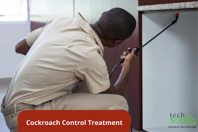 Cockroach Control Treatment in Bangalore - techsquadteam