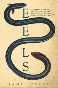 Eels: An Exploration, from New Zealand to the Sargasso, of the World's Most Mysterious Fish (English Edition)