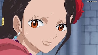 ワンピースアニメ ドレスローザ編 673話 ヴィオラ ヴァイオレット | ONE PIECE Episode 673