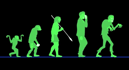 Evolution lustig vom Affen zum Zombie Ehechaos und Beziehungsspaß - Amüsante Liebeserlebnisse Beziehung, Ehe, Komische Begebenheiten des Lebens, Liebesleben, Ratschlag