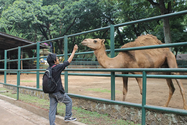 Kebun-Binatang-Bandung