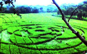 Crop circles UFO Sleman Yogyakarta