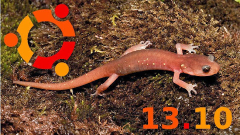 Saucy Salamander Ubuntu 13.10 ready to download