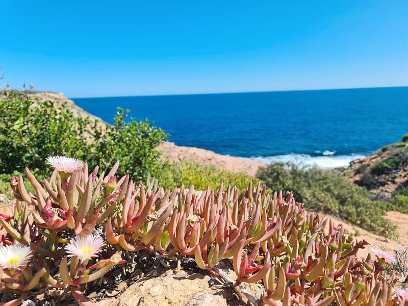 Explore Kalbarri National Park in Western Australia