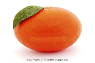 health_benefits_of_bioflavonoids_fruits-vegetables-benefits.blogspot.com(9)