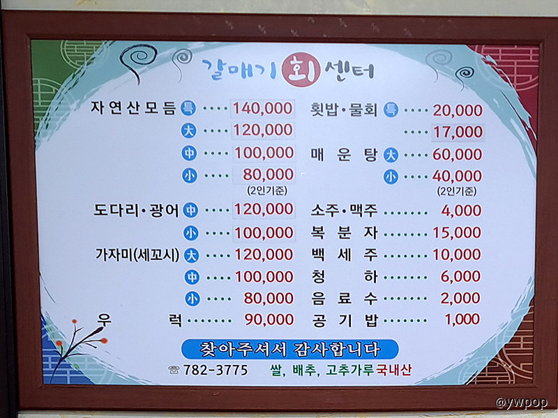 맛집 경북 울진항 갈매기회센터